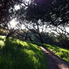 You Wouldn't Believe