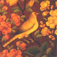 Persian Classics