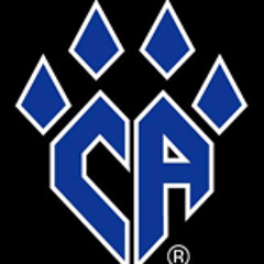 Cheer Athletics Panthers 2013-14