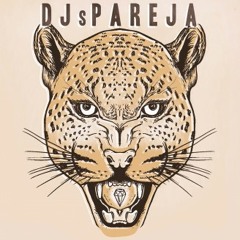 Djs Pareja - La Risa (Carisma Remix) - Huntley & Palmers 007 (2013)