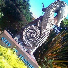 seasideee slapzz at Seaside