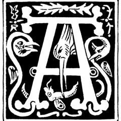 Crash Tactics, 65Days of static