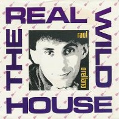 Raul Orellana - The Real Wild House (Peverell & Paco Caniza Re-work)