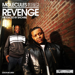 Molecules (of The Legion) & Showbiz (of D.I.T.C.) "Revenge"