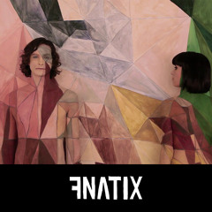 Gotye - Somebody That I Used To Know (FNATIX Mashup) [FREE DL]
