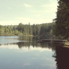 Janet Jackson - Alright (EIDN & His Fränz Remix)