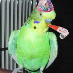 Lizard feat. Klotz 2000 - Es War Einmal Party