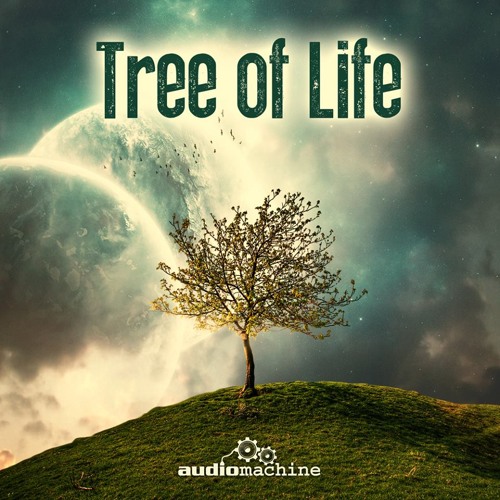 An Unfinished Life .(Audiomachine)