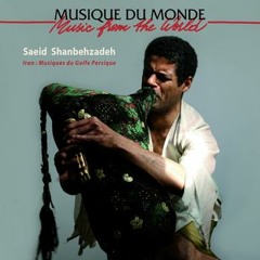 Ensemble Shanbehzadeh - Jonoub
