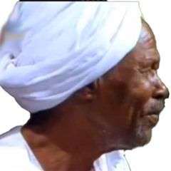 الناحر فؤادى