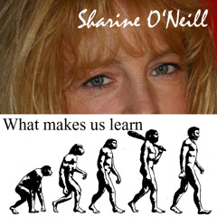 What makes us learn