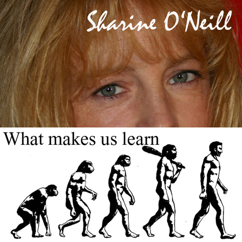 What makes us learn