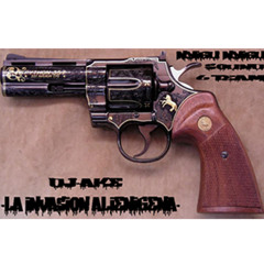 nyigu nyigu sound 6 team-dj. ake La Invasion Alienigena