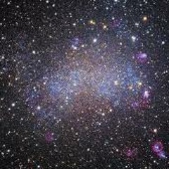 Stars