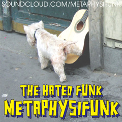 The Hated Funk
