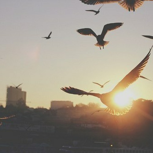 أَغِيبُ وَ ذوُ الْلَطائِفِ لآ يَغِيبُ