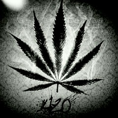 Niggaz In Pariz YoungSmoka