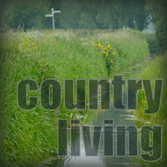 Country Living (Album Version)