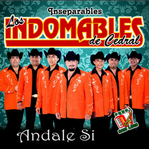 artworks 000059494678 iw48dd t500x500 - Los Indomables de Cedral - Andale Si (2013)