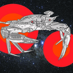 We're Gonna Fake Us A Bass Line