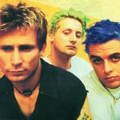 Warez Waldo - Walking Contradiction (Green Day cover)