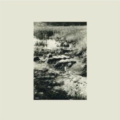 Aebeloe - Patience
