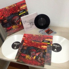 Nailed Down-Body Count (Disrupt Cover ) for  Disrupt tribute cd