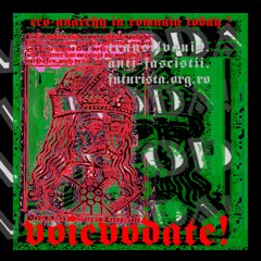 transilvanian eco-anarchist response to GONZO (S*cretService.Ro)