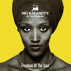 Mo'kalamity - FRONTLINE sample (from the new album "Freedom of The Soul")