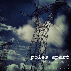 Feed Your Ghost & Etherealness : Poles Apart