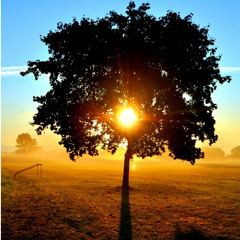 Herbstsonne - prod. by Jusoul