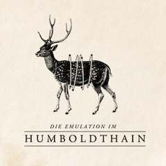 Humboldthain Resident Series - Cinthie