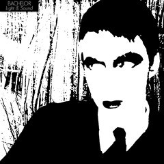 Bachelor - Last Call