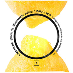 iE 073