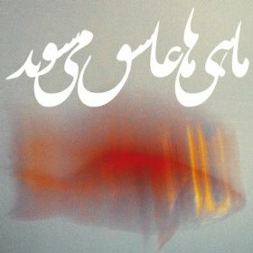 Ali Samadpoor_The Bicycle I