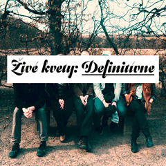 Definitívne