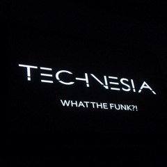 What The Funk?! @ TECHNESIA 2013-10-05