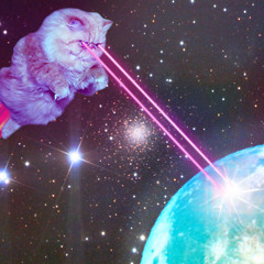 The Adventures of Space Cat