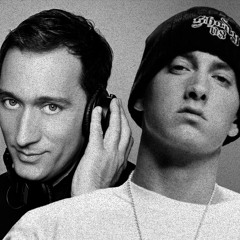 Without Me Kaleidoscope (Eminem vs Paul van Dyk)