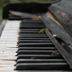 Waldeck-Freakquenz 2013