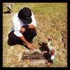 DONELLE LINDSEY/RIP BRA