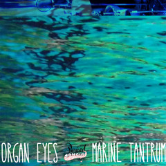 Organ Eyes - Old Friends