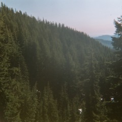 Blue Ridge Mountains cover (Fleet Foxes)