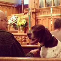 Blessing Of The Pets Hymn