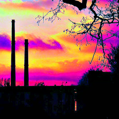 Entropy