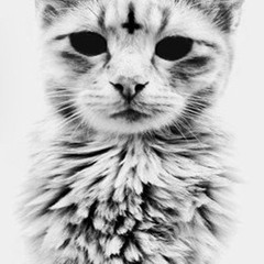 Terrestrial - FVCK$WAG (Original Mix) CLIP