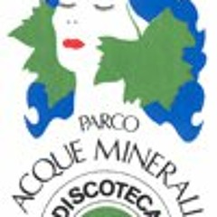 Discoteca Acque Minerali Imola (BO) * 18/9/1982 (side B) *  Mix by Lapo *