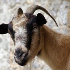 Auf dem Land (part 1)