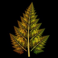 Maytrixx vs. Cosmo Korg-Rockstar Ausschnitt