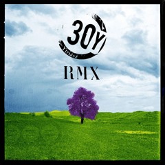 30Y - Bogozd ki (Blade Rmx)  Y-Triász Remix Album [CLS Records]